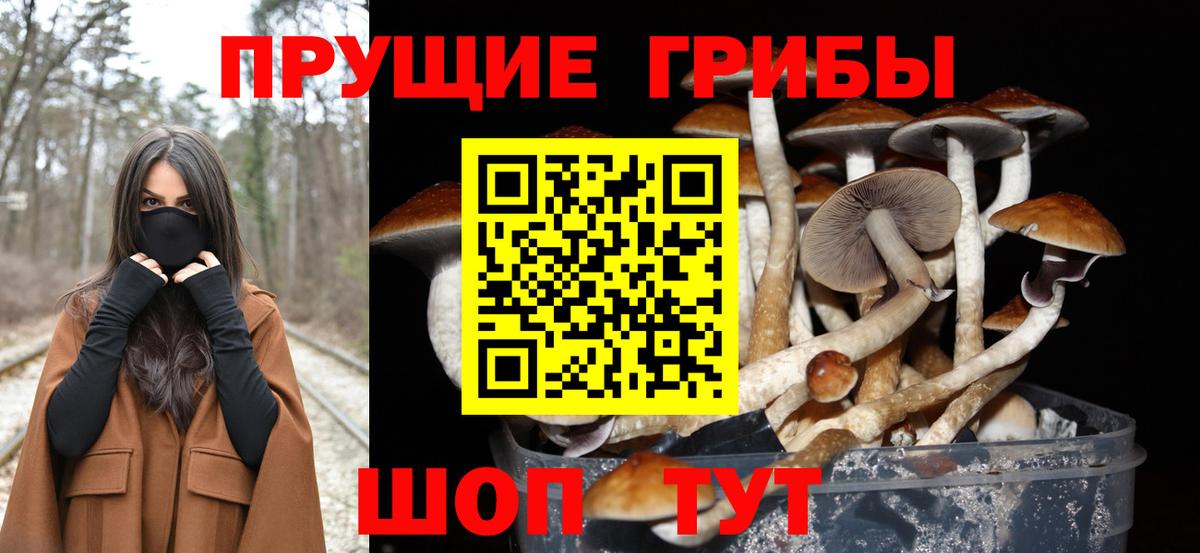 Сосновый Бор  Галлюциногенные грибы мухоморы  Вход с VPN 