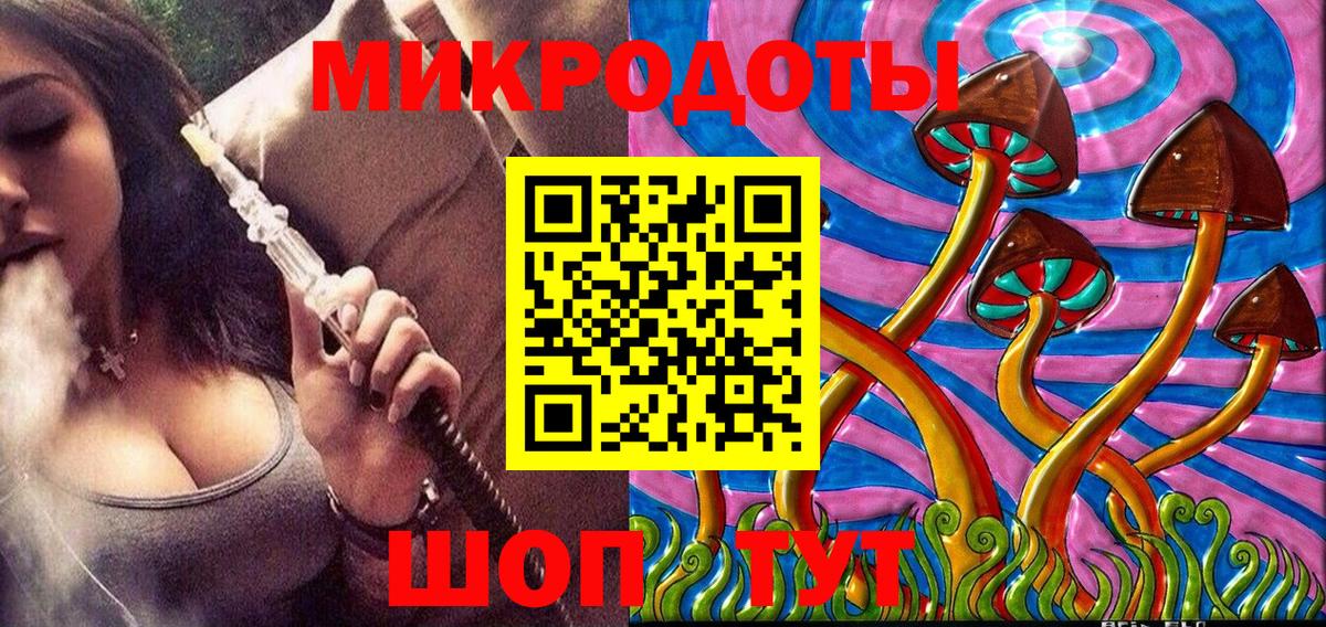 Псилоцибиновые грибы Cubensis Сосновый Бор