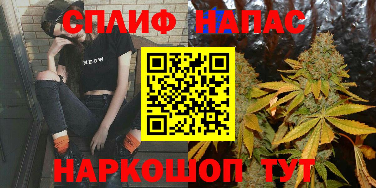 Конопля планчик Сосновый Бор